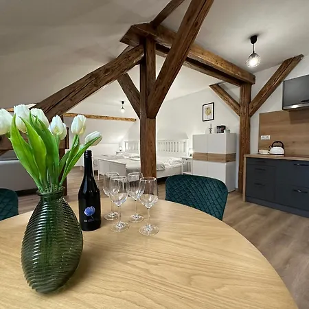 Frana 1 Apartmán Ceske Budejovice